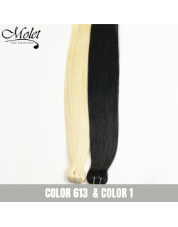 Molet European Human Hair Weft Color 613 & Color 1