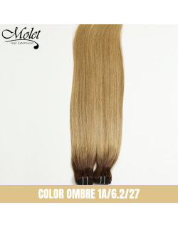 Molet European Human Hair Weft Color Ombre  1A/6.2/27